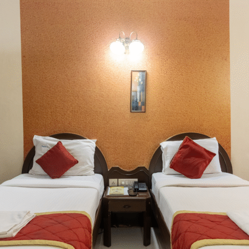 Deluxe AC Twin Bed Room